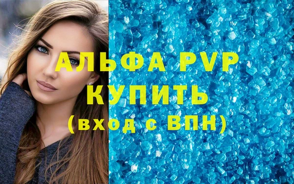 ГАЛЛЮЦИНОГЕННЫЕ ГРИБЫ Дмитриев