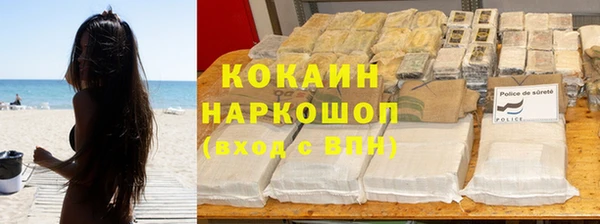 ГАЛЛЮЦИНОГЕННЫЕ ГРИБЫ Дмитриев