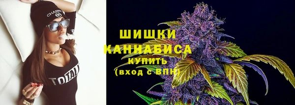 молекула духа Коряжма
