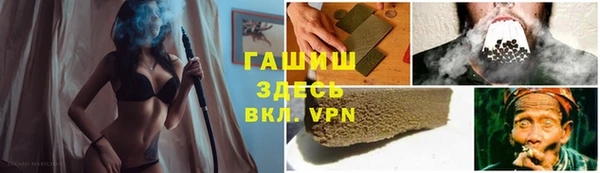 ГАЛЛЮЦИНОГЕННЫЕ ГРИБЫ Дмитриев