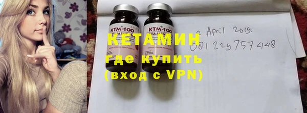 ГАЛЛЮЦИНОГЕННЫЕ ГРИБЫ Дмитриев