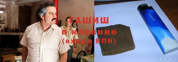 ГАЛЛЮЦИНОГЕННЫЕ ГРИБЫ Дмитриев