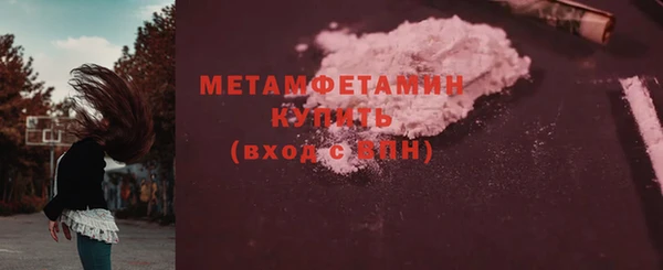 ГАЛЛЮЦИНОГЕННЫЕ ГРИБЫ Дмитриев