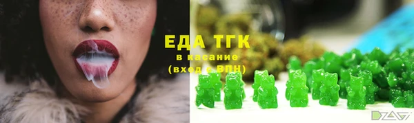 гашик Дмитров