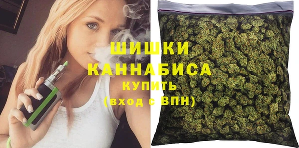 гашик Дмитров