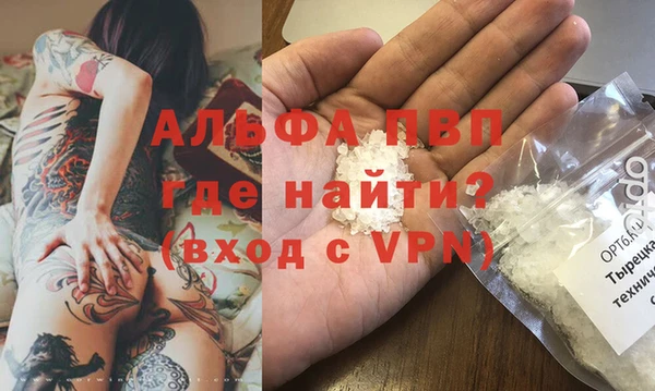 гашик Дмитров