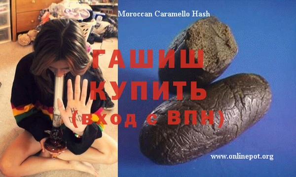 гашик Дмитров