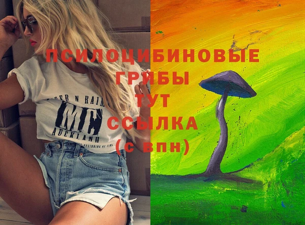 ГАЛЛЮЦИНОГЕННЫЕ ГРИБЫ Дмитриев