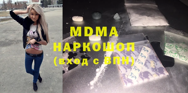ГАЛЛЮЦИНОГЕННЫЕ ГРИБЫ Дмитриев
