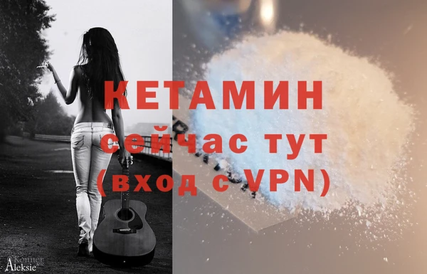 ГАЛЛЮЦИНОГЕННЫЕ ГРИБЫ Дмитриев