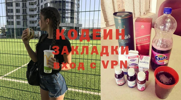 ГАЛЛЮЦИНОГЕННЫЕ ГРИБЫ Дмитриев