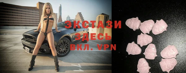 ГАЛЛЮЦИНОГЕННЫЕ ГРИБЫ Дмитриев