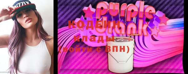 ГАЛЛЮЦИНОГЕННЫЕ ГРИБЫ Дмитриев