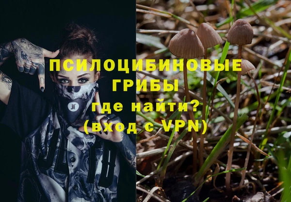 a pvp Корсаков